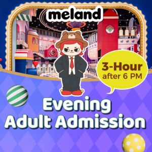 Evening Adult Admission(3-Hour after 6 PM)Solo Play for Ages 18+